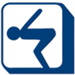 TNSAA Logo